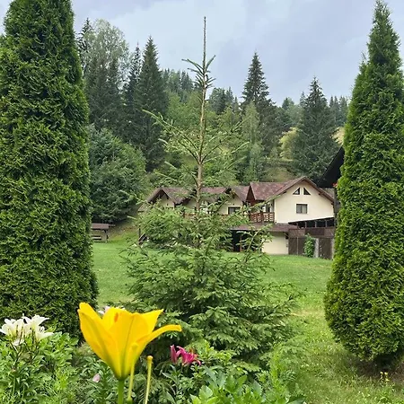 Pietrele Doamnei Guest house