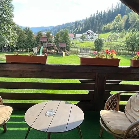 Guest house Pietrele Doamnei Pojorita